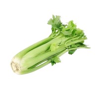 山东西芹半叶新鲜芹菜蔬菜嫩心山东青菜