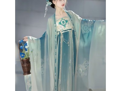 飚阁汉服中国风女装套装2025年新款国风大赏【倾城】唐制诃子裙 大袖衫+诃子裙+披帛 均码 （80-140斤）图3