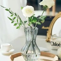 北欧风创意蒜头玻璃花瓶网红透明水培植物鲜花干花插花瓶客厅摆件