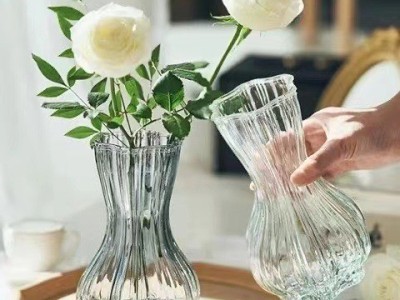 北欧风创意蒜头玻璃花瓶网红透明水培植物鲜花干花插花瓶客厅摆件图2