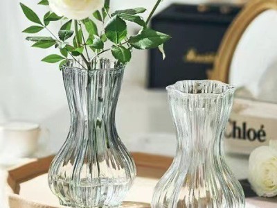 北欧风创意蒜头玻璃花瓶网红透明水培植物鲜花干花插花瓶客厅摆件图4