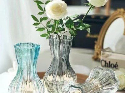 北欧风创意蒜头玻璃花瓶网红透明水培植物鲜花干花插花瓶客厅摆件图3