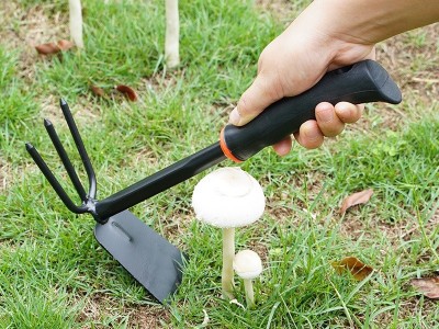 园艺工具种花赶海神器种菜栽养花小铲子多肉花铲户外铲土铁锹铁铲图3