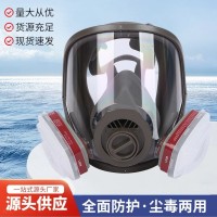 6800款防毒面具全面罩喷漆化工农药防粉尘可接滤毒罐防毒全面具