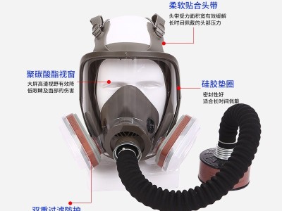 6800款防毒面具全面罩喷漆化工农药防粉尘可接滤毒罐防毒全面具图2