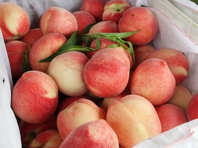 陕西水蜜桃子毛桃新鲜水果 非阳山毛桃春雪脆桃10斤包邮 一件代发图2