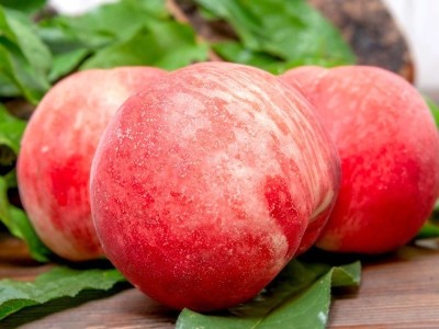 陕西水蜜桃子毛桃新鲜水果 非阳山毛桃春雪脆桃10斤包邮 一件代发图6