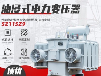 Z11SZ9三相有载调压油浸式电力变压器_非晶合金配电变压器10kv图3