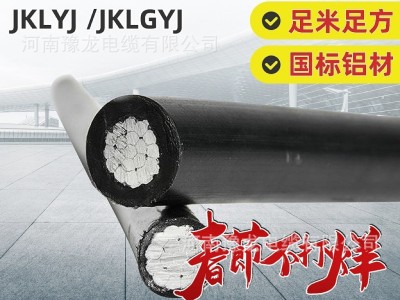 批发架空绝缘线JKLYJ/1KV10KV电力电缆国标铝芯户外架空绝缘电线图3