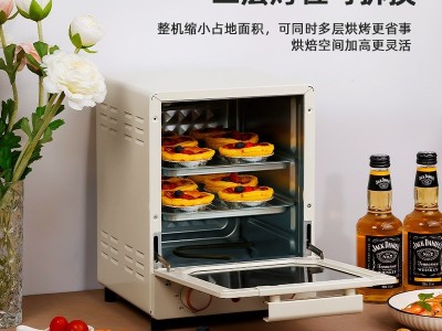电烤箱家用多功能15升蛋糕烘焙专用迷你小型烤箱Electric oven图4