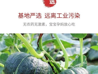 京鲜匠贝贝南瓜山东新鲜板栗味小南瓜蔬菜甜粉糯香甜斤包邮图4