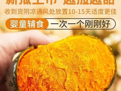 京鲜匠贝贝南瓜山东新鲜板栗味小南瓜蔬菜甜粉糯香甜斤包邮图3