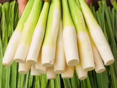 浙江新鲜茭白5斤现摘高笋农家蔬菜茭儿菜茭笋菰笋菰手整箱包邮图4