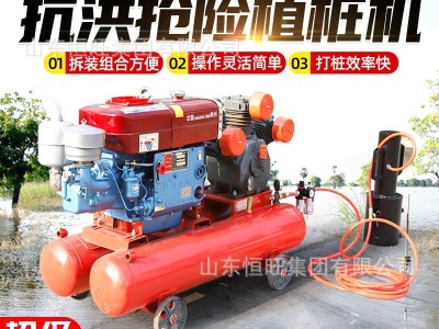 便携式植桩机手持式防汛打桩机液压打桩机抗洪用二冲程防汛 打桩机图2