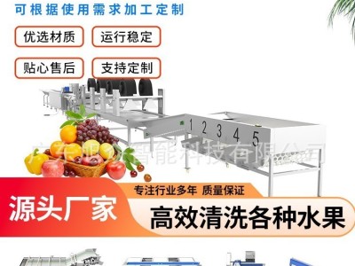 旭众自动净菜流水线商用大型蔬菜涡流清洗机中央厨房加工生产设备图3