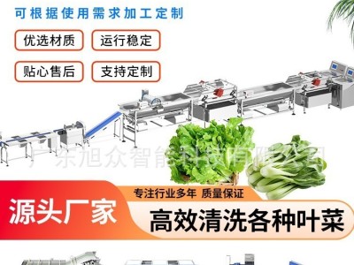 旭众自动净菜流水线商用大型蔬菜涡流清洗机中央厨房加工生产设备图2