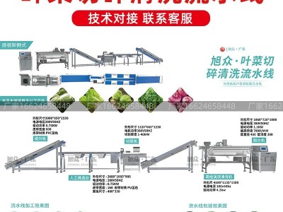 旭众自动净菜流水线商用大型蔬菜涡流清洗机中央厨房加工生产设备图6