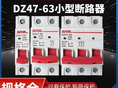 上海上民空气开关小型断路器DZ47-63A总电闸空开家用1P2P3P保护器图2