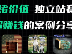 2024年超赚钱的情绪价值独立站赛道【跨境电商人必看】 | Shopify独立站案例分析 & 运营 & 选品 & 爆单