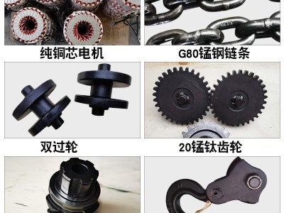 环链电动葫芦380V1t3t5t10吨链条式吊机220v提升机起重倒链电葫芦图3