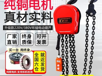 环链电动葫芦380V1t3t5t10吨链条式吊机220v提升机起重倒链电葫芦图2