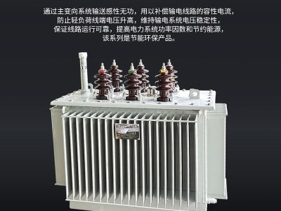 KSB　油浸式并联电抗器　　户外电抗器图4