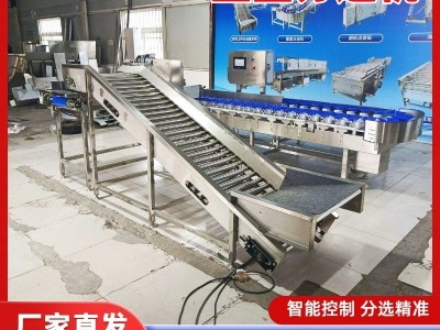 全自动土豆料盒重量分选机 螃蟹大闸蟹称重分选机 小龙虾分拣机器图3