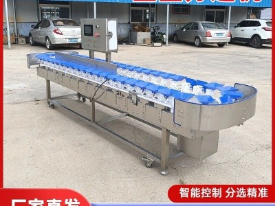 全自动土豆料盒重量分选机 螃蟹大闸蟹称重分选机 小龙虾分拣机器图4