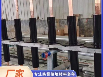 地铁接地引出装置 非磁性钢管接地装置 防雷离子接地极图3