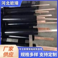 地铁接地引出装置 非磁性钢管接地装置 防雷离子接地极