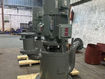 厂家供应WFB自控自吸泵立式不锈钢自吸泵高吸程无密封自吸污水泵图4