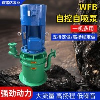 厂家供应WFB自控自吸泵立式不锈钢自吸泵高吸程无密封自吸污水泵