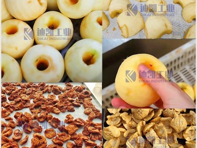 全自动苹果去皮去核设备 雪梨罐头去皮脱核分瓣机 苹果片加工设备图2